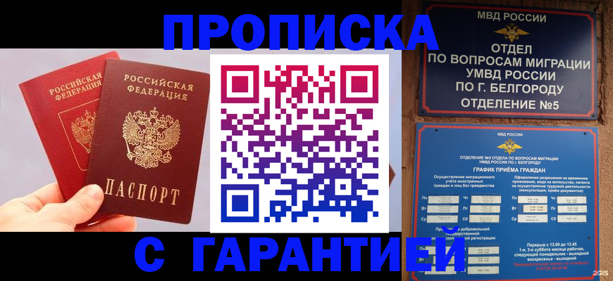 прописка 2025 в Вельске